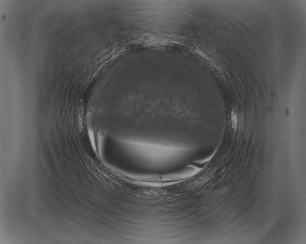 X0000086081348200704091250