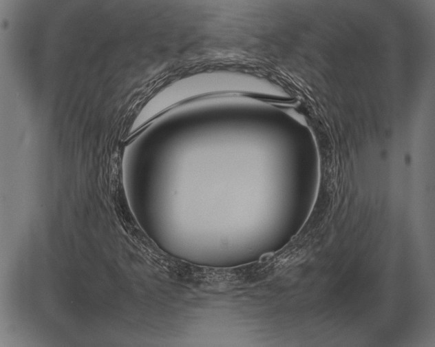 X0000086081349200704091250