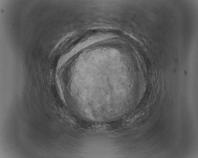 X0000086081351200704091250