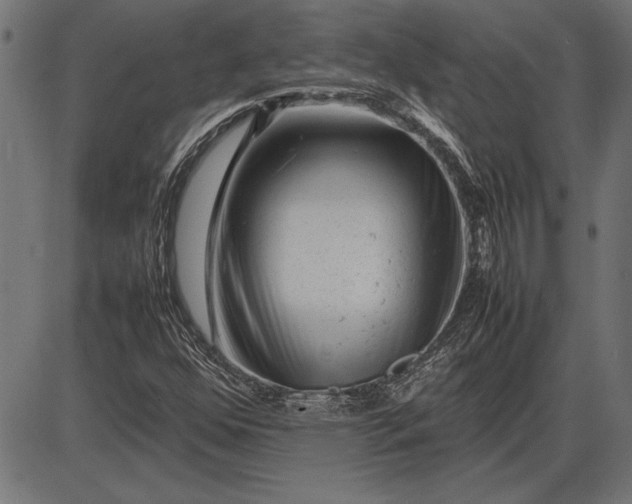 X0000086081352200704091250