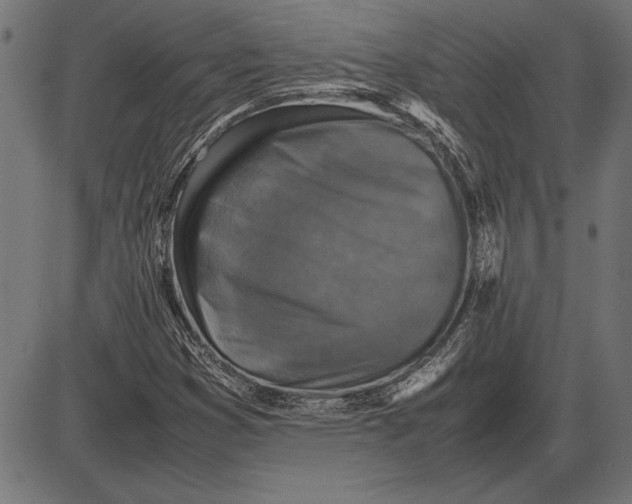 X0000086081353200704091250