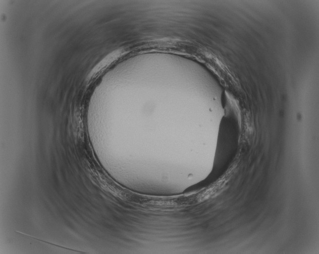 X0000086081354200704091250