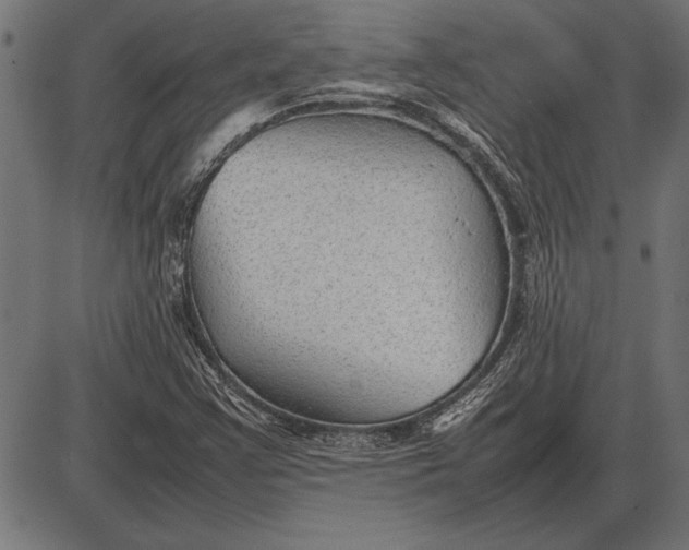 X0000086081355200704091250