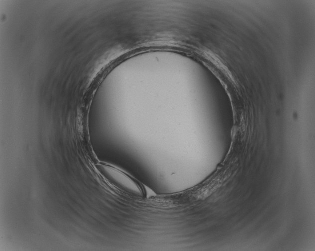 X0000086081356200704091250