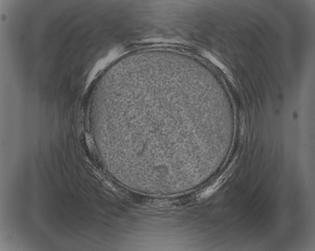 X0000086081357200704091250