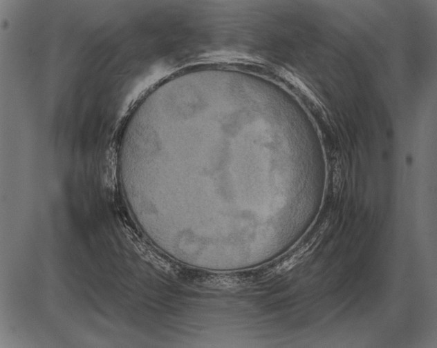 X0000086081358200704091250