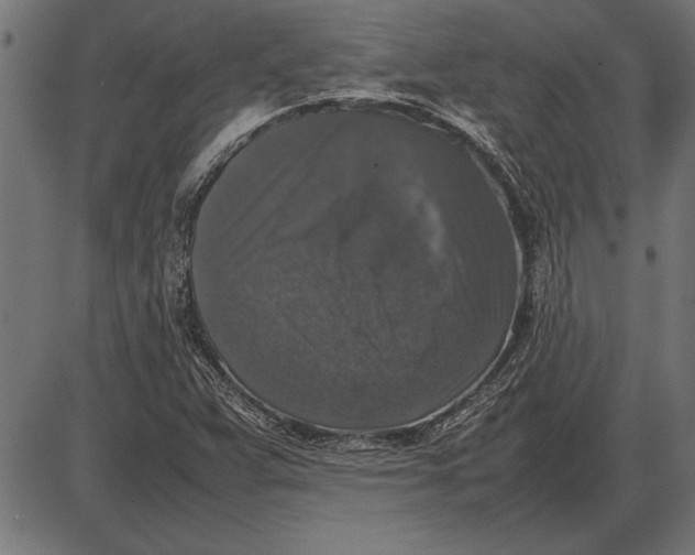 X0000086081359200704091250