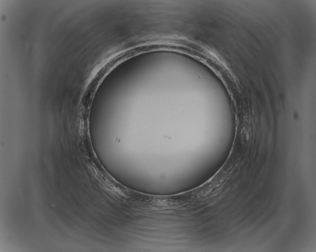 X0000086081360200704091250