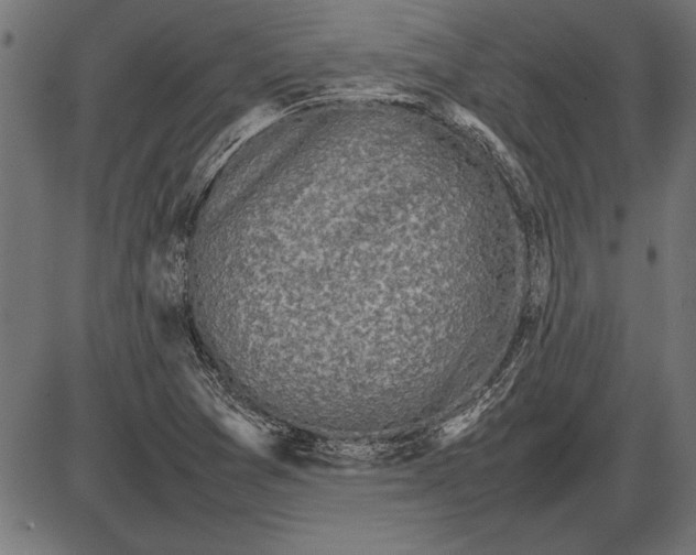 X0000086081361200704091250