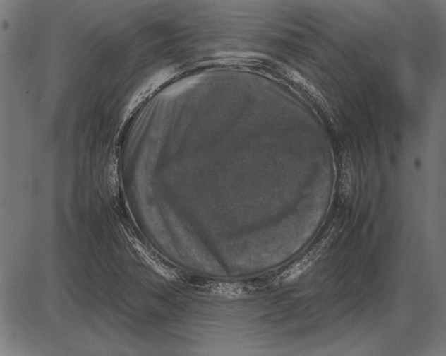 X0000086081362200704091250