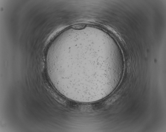 X0000086081363200704091250