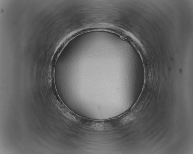 X0000086081364200704091250