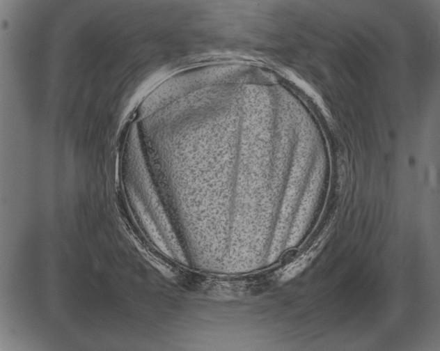 X0000086081365200704091250