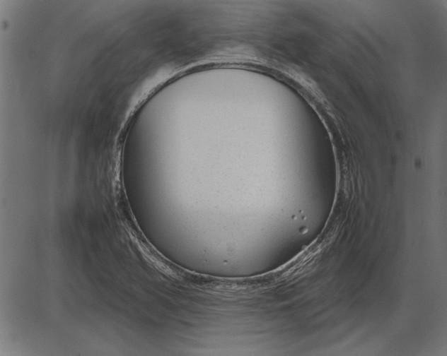 X0000086081366200704091250