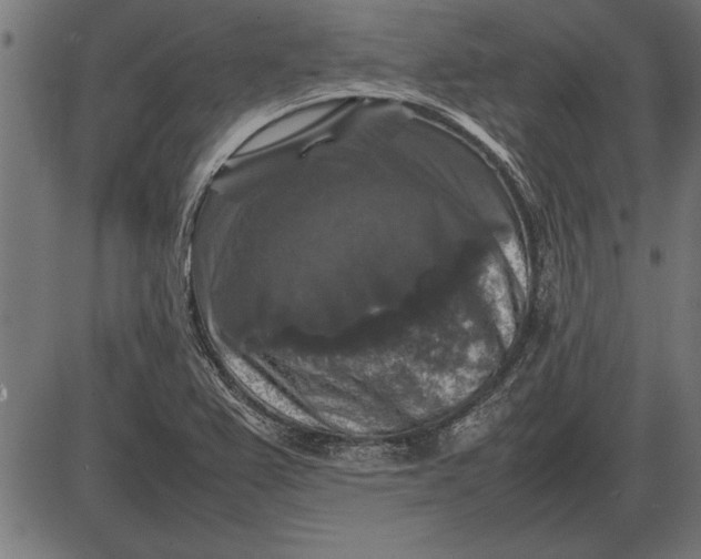 X0000086081367200704091250