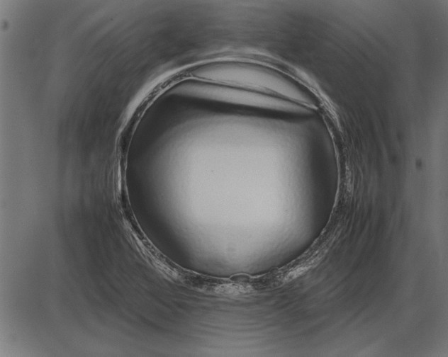 X0000086081368200704091250