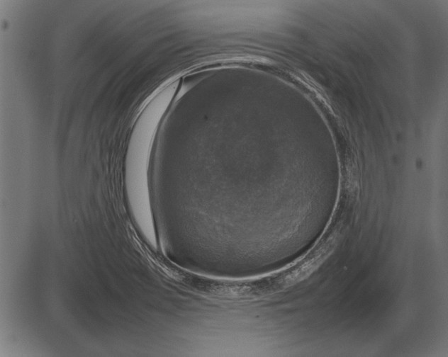 X0000086081369200704091250