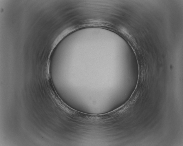 X0000086081370200704091250