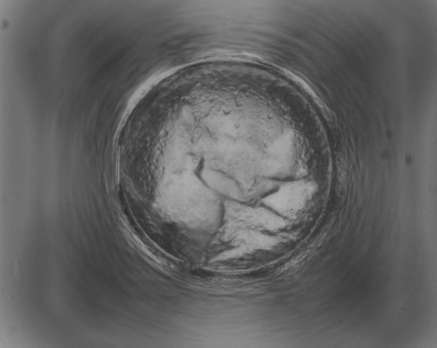 X0000086081371200704091250