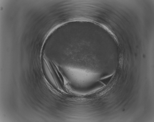 X0000086081372200704091250