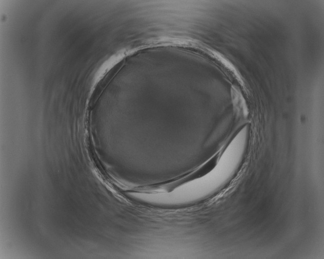 X0000086081373200704091250