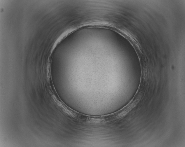 X0000086081374200704091250