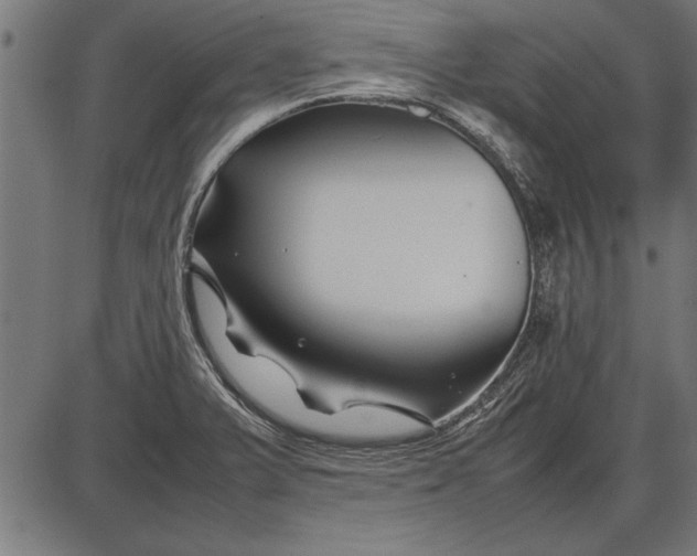 X0000086081375200704091250