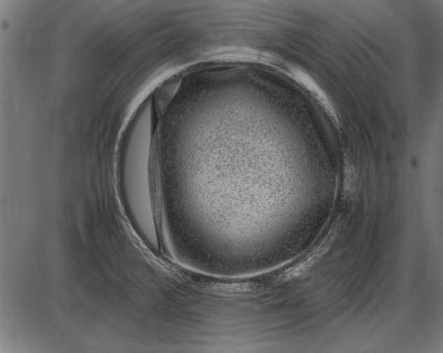 X0000086081376200704091250