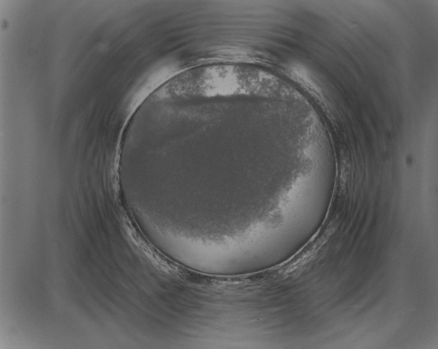 X0000086081378200704091250