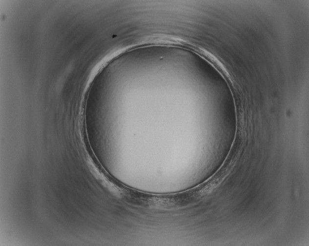 X0000086081379200704091250