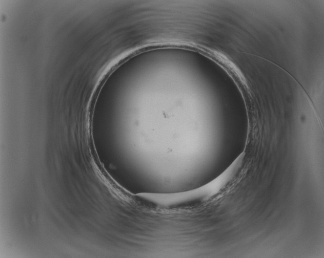 X0000086081380200704091250