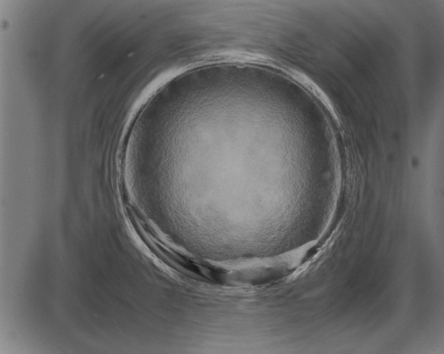 X0000086081381200704091250