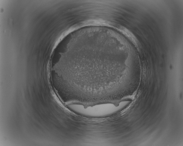 X0000086081382200704091250