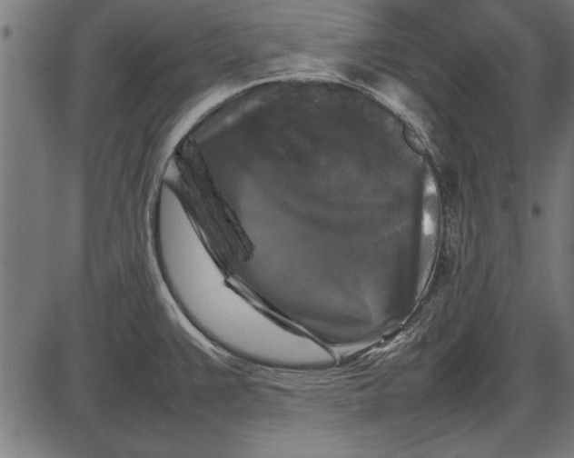 X0000086081383200704091250