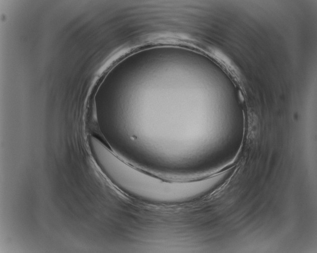 X0000086081384200704091250