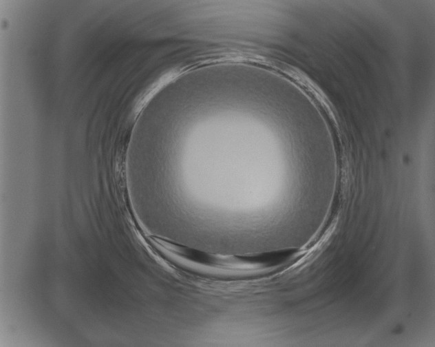 X0000086081385200704091250