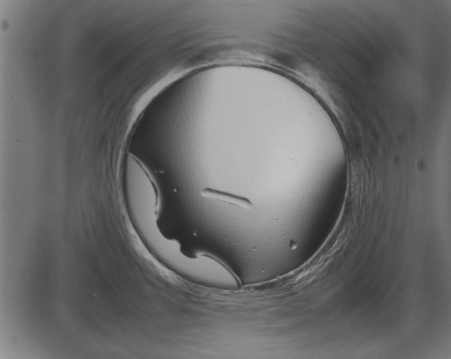 X0000086081387200704091250