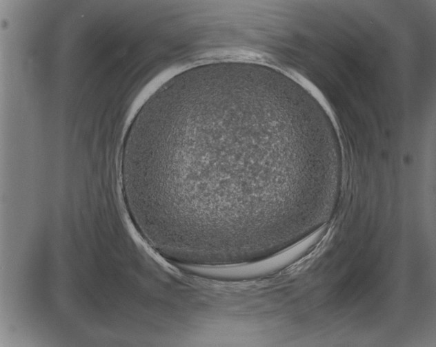 X0000086081389200704091250