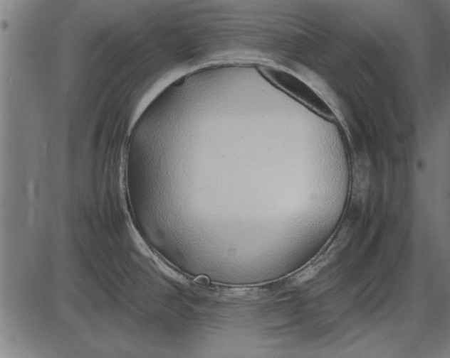 X0000086081390200704091250