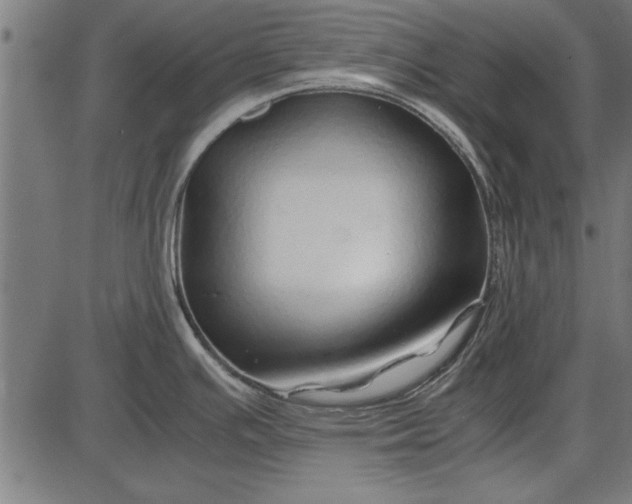 X0000086081391200704091250