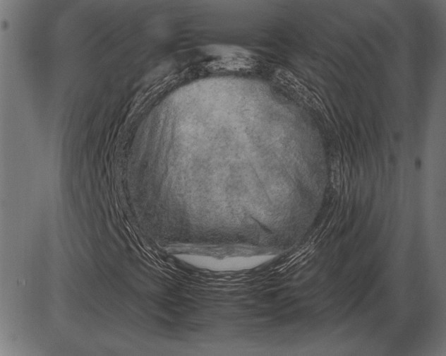 X0000086081393200704091249