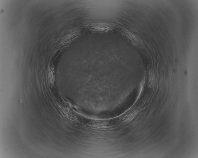 X0000086081394200704091249