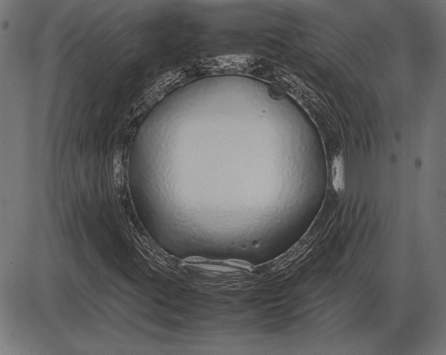 X0000086081395200704091249