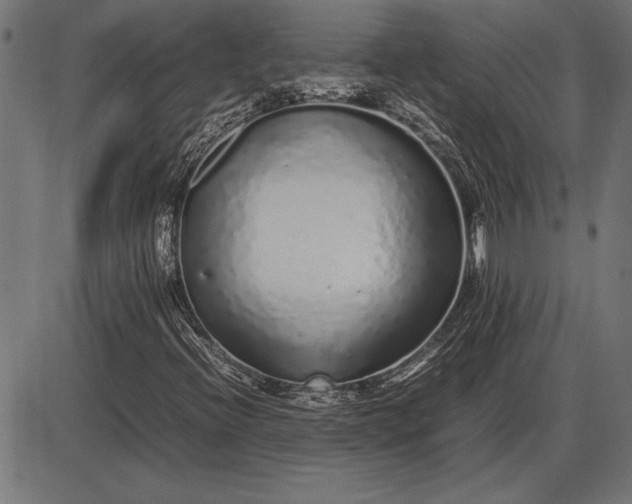 X0000086081396200704091249