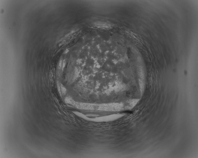 X0000086081397200704091249