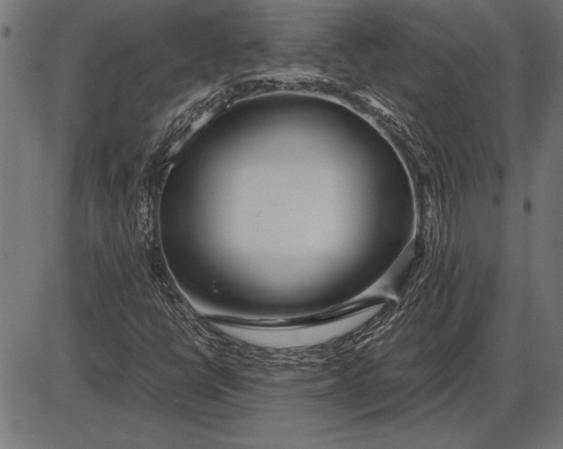 X0000086081398200704091249