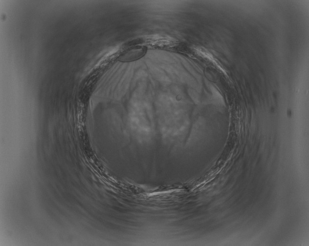 X0000086081399200704091249