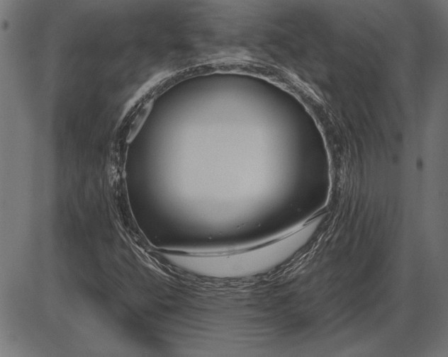 X0000086081400200704091249