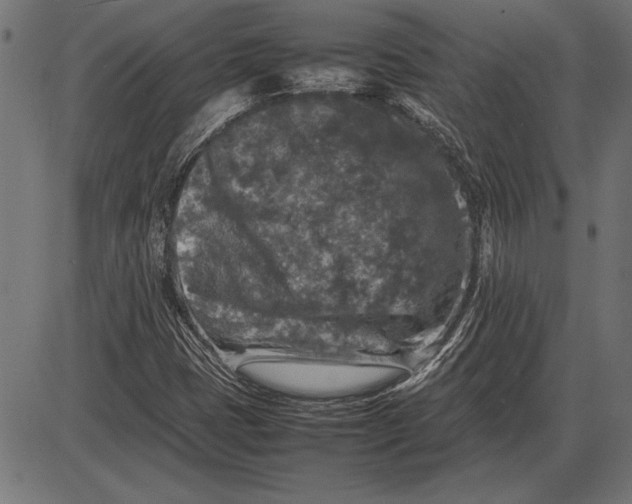 X0000086081401200704091249