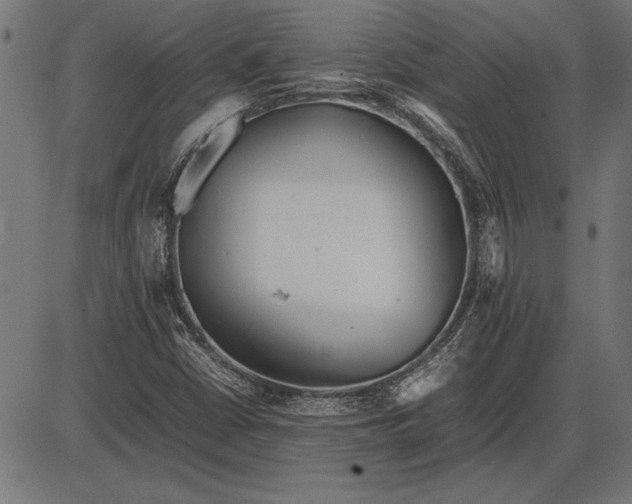 X0000086081402200704091249